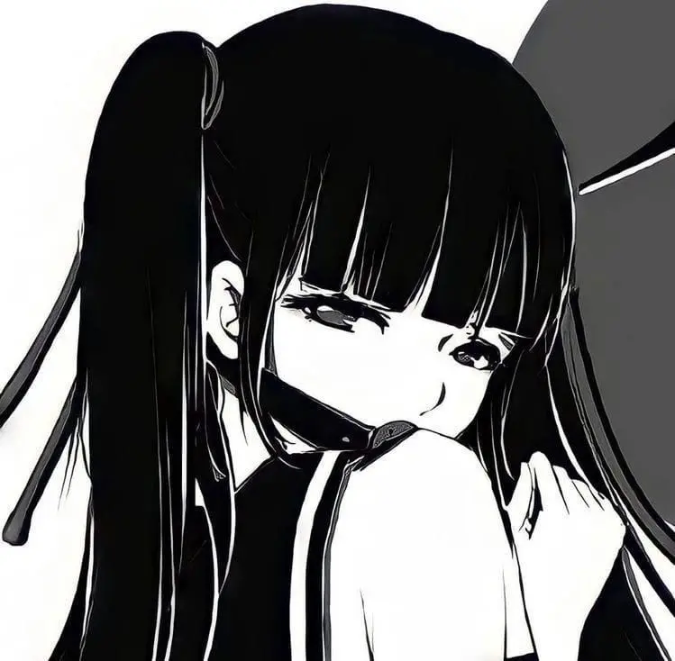 Black and White Anime PFP preview